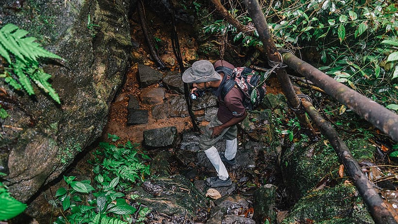 Kanneliya Rainforest