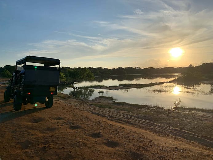 Yala National Park