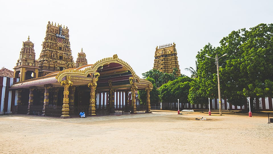 Visit nallur like a local featured image