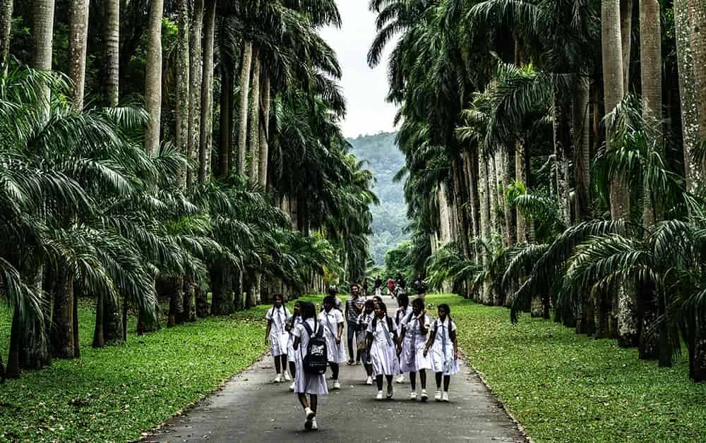 Peradeniya botanical garden